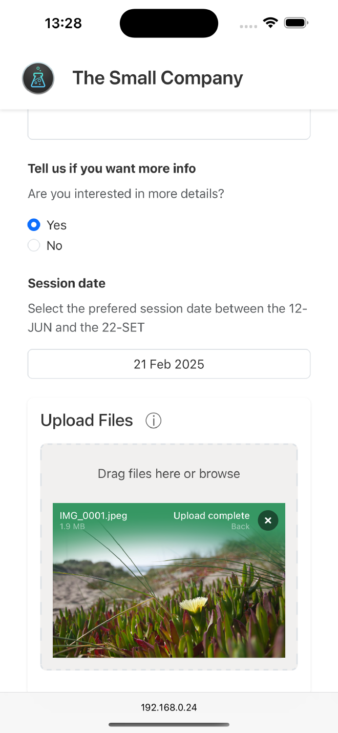 iPhone 15 Submission Success